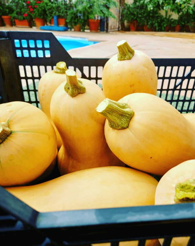 Calabaza cacahuete